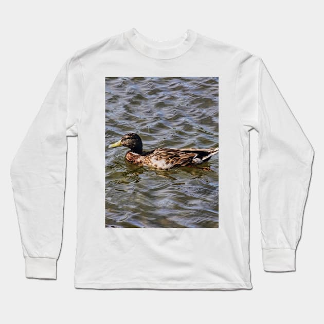 Female Mallard Duck Long Sleeve T-Shirt by avrilharris